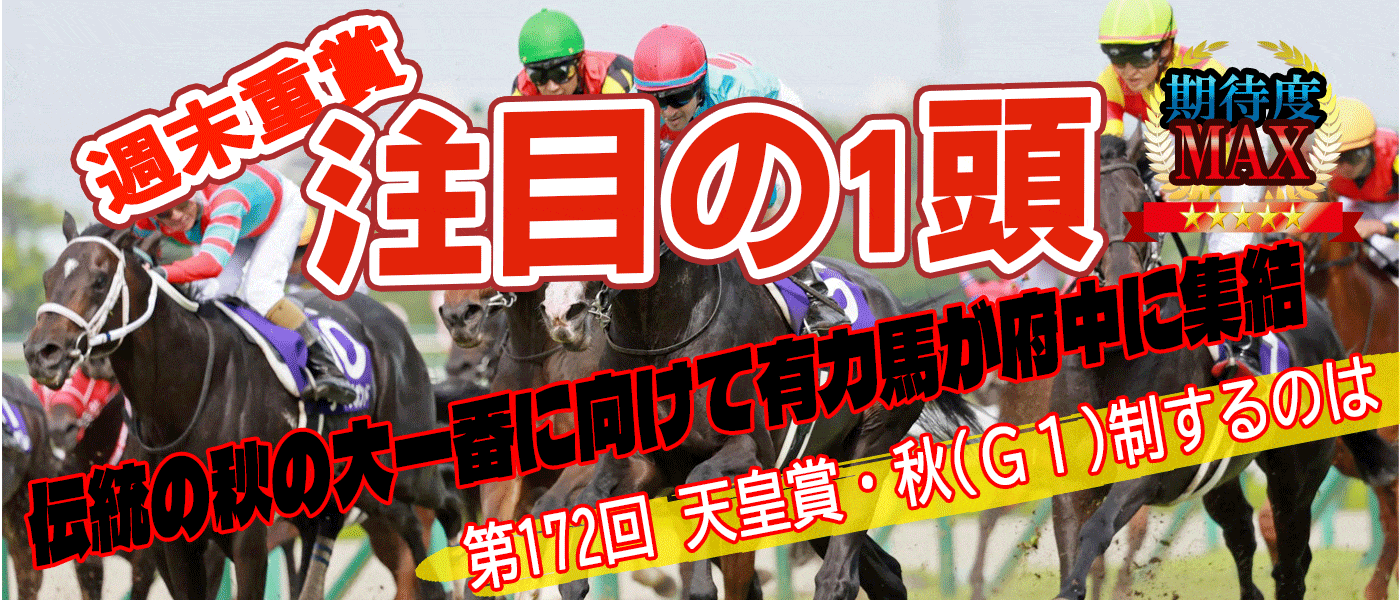 毎週水曜日更新